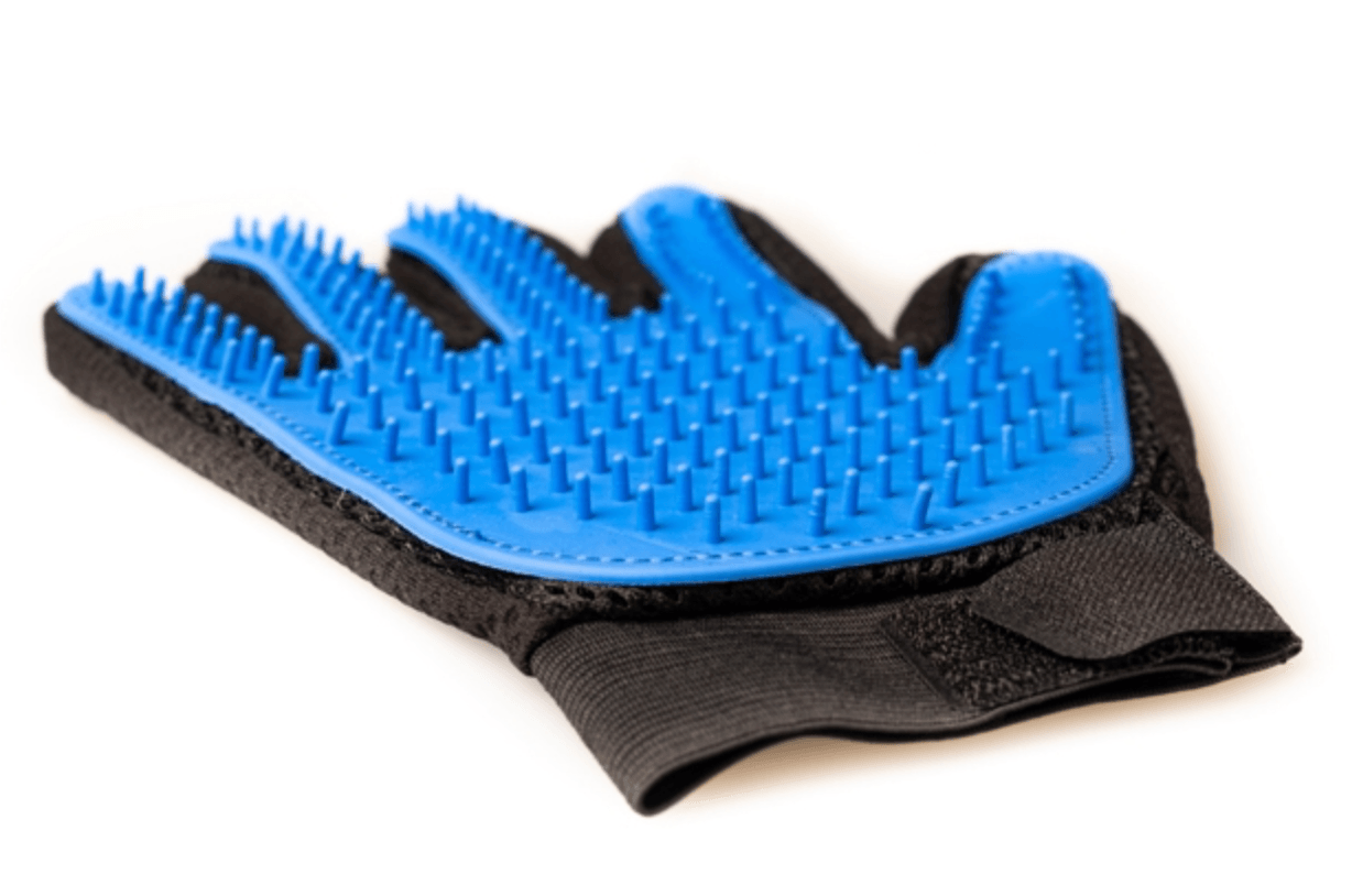 Active Canis Grooming Glove, right hand