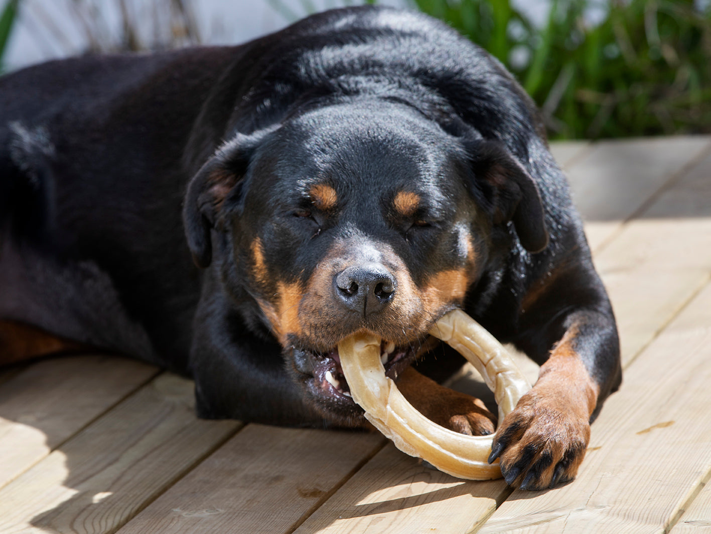 Dogman Tuggring Pressad Opackad Brun 15cm